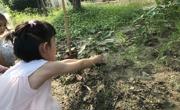 乘风破浪的小设计师 ——中（2）班课程故事