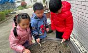 春风十里 有你更美 ——甪幼植树节活动