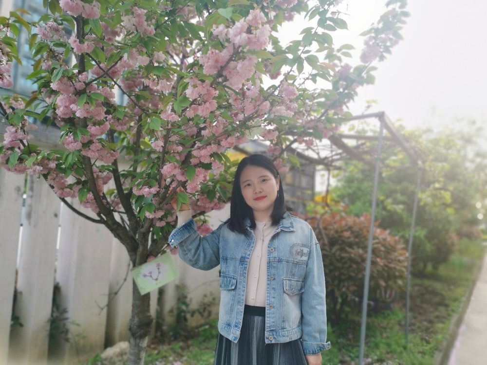 杨苏英
