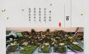 叙故事·述课程·悦成长——甪直实验幼儿园课程故事分享活动