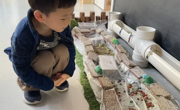 觅秋之美|寻自然之趣——甪直实验幼儿园自然角展评活动