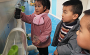 小鱼生存记 ——中（1）班班本课程