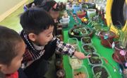水培土培大比拼 ——小（2）班班本课程