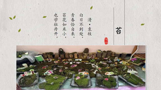 叙故事·述课程·悦成长——甪直实验幼儿园课程故事分享活动