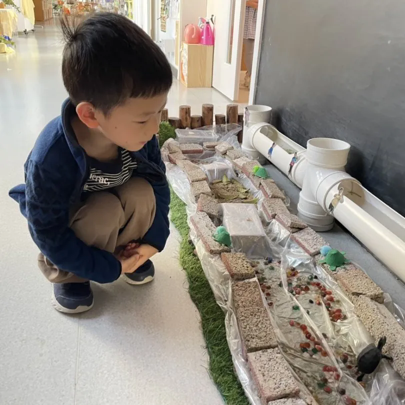 觅秋之美|寻自然之趣——甪直实验幼儿园自然角展评活动