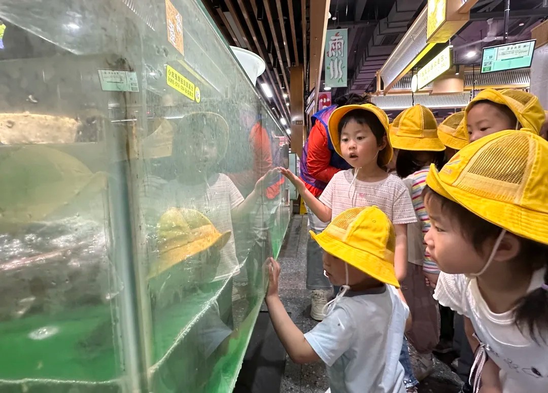 菜市场研学记——星泽实验幼儿园小班组社会实践活动